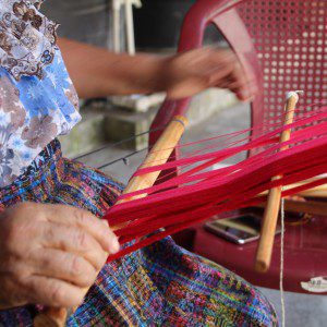 Bolsita de Tinte Natural