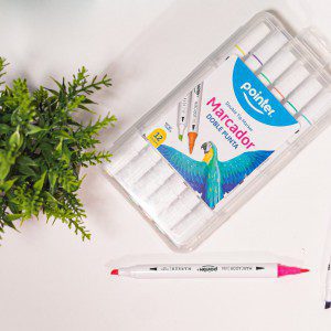 Marcadores permanentes doble punta