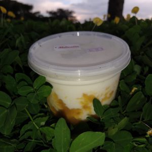 Medio Litro de Yogurt Artesanal