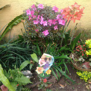 Elaboración de jardinez basicos,deserticos ,tropicales,y elegantes