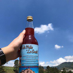 Caldo de Frutas Tradicional