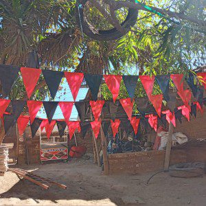 BANDERINES PARA CAR WASH, PREDIOS, PARQUEOS.