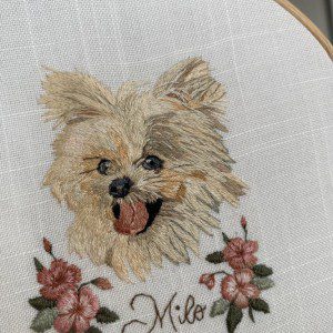 Bordado de Pomerania – needle painting