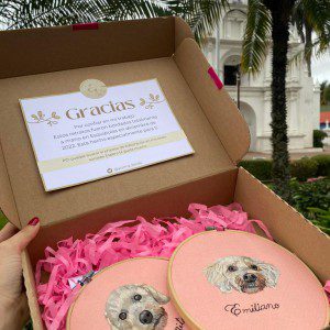 Bordado de French – needle painting