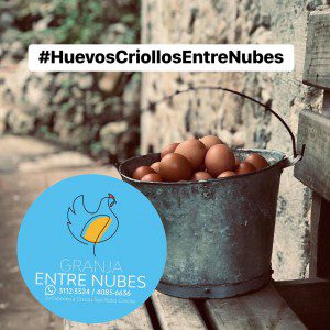 Huevos Criollos Huevos de Libre Pastoreo
