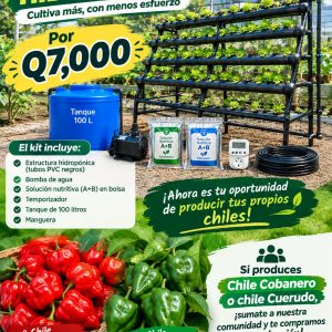 Productos a credito