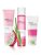 Set Botanical Effects® Mary Kay®